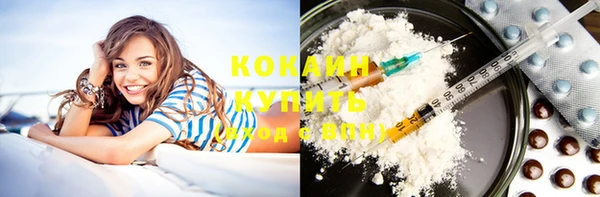 стафф Карпинск