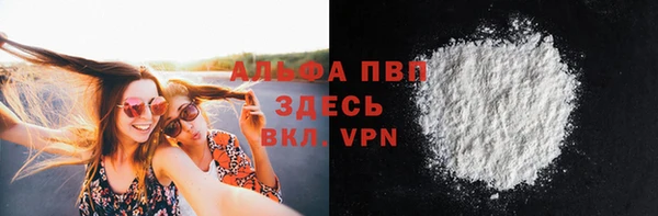 стафф Карпинск