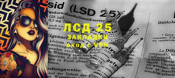 ГАЛЛЮЦИНОГЕННЫЕ ГРИБЫ Касимов