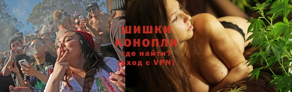 ГАЛЛЮЦИНОГЕННЫЕ ГРИБЫ Касимов