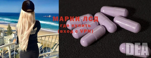 ГАЛЛЮЦИНОГЕННЫЕ ГРИБЫ Касимов