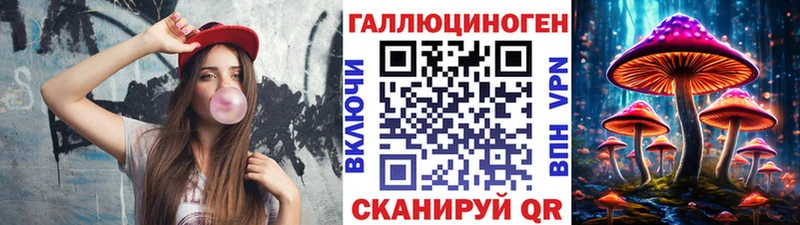 Купить где  Нестеров  Псилоцибиновые грибы Psilocybe 